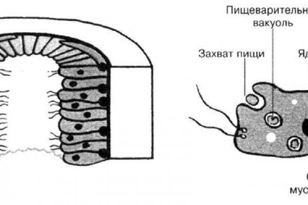 Кракен даркнет плейс