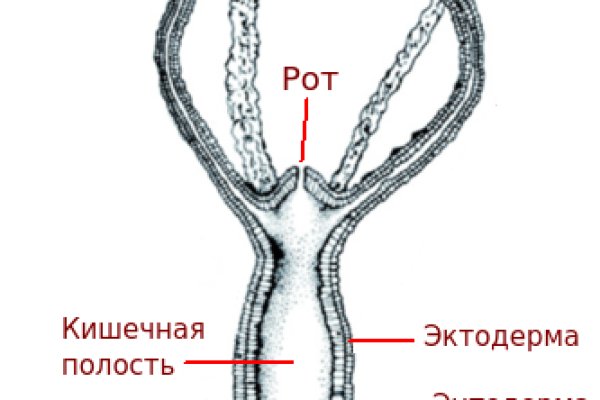 Кракен не заходит