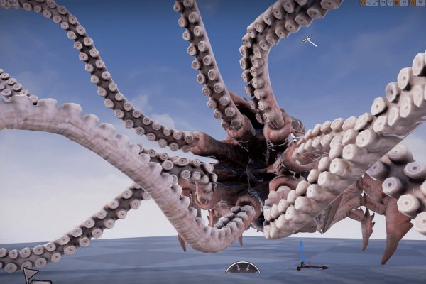 Kraken 16 onion