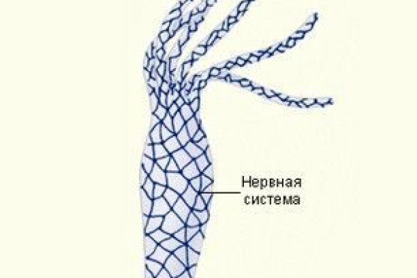 Кракен ссылка pw